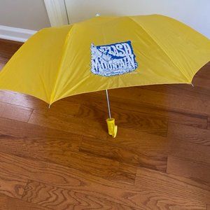 COPY - Splash Mountain Umbrella